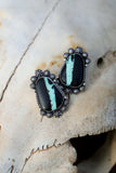 Black Buffalo Studs