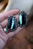 Black Buffalo Studs