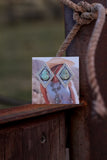 Double Diamond Studs Cripple Creek Turquoise