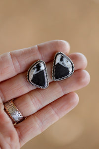 White Buffalo Studs