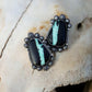 Black Buffalo Studs
