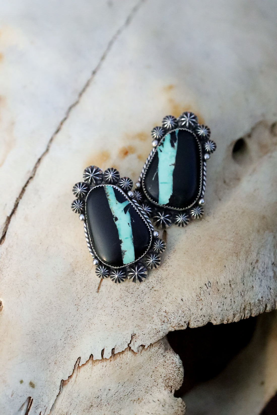 Black Buffalo Studs
