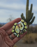 Palomino Cluster Studs