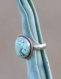 Robin's Egg Turquoise Ring