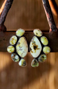 Palomino Cluster Studs